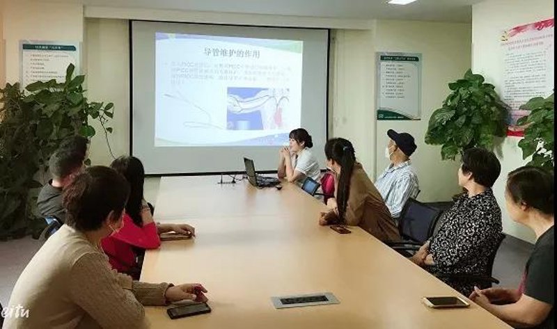 AI站群在信息时代的浪潮中引领创新